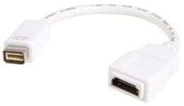 StarTech.com (0.2m) Mini DVI to HDMI Video Adaptor for Macbooks and iMacs- M/F 