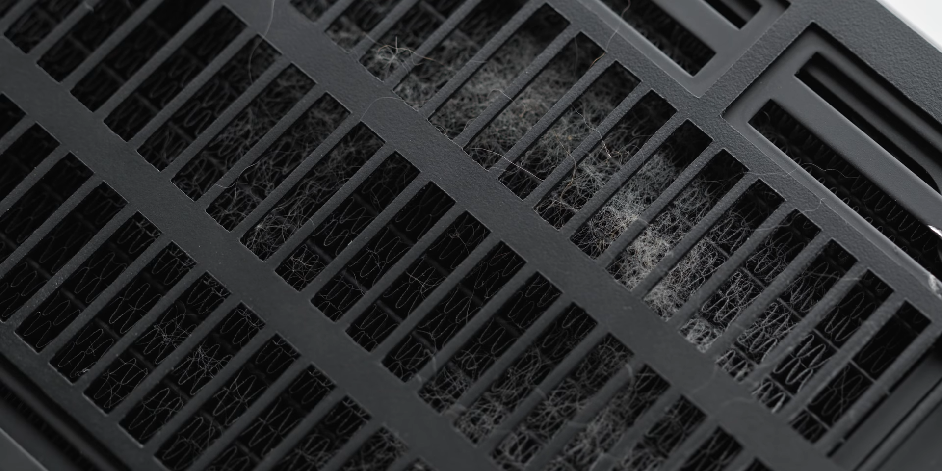 NCase M1 V6 Dust Collection (5 Months)