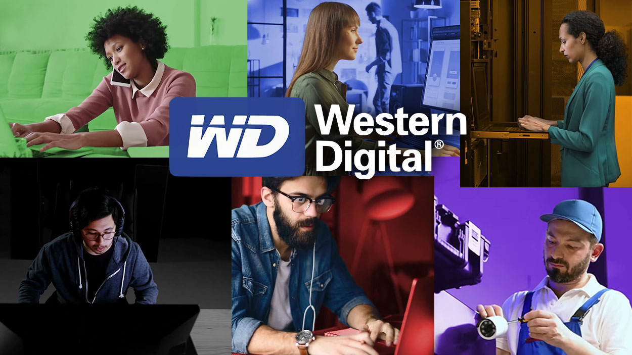 Which storage do you need? WD makes it simple