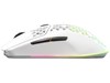 SteelSeries Aerox 3 Wireless Gaming Mouse 2022 Edition in Snow White