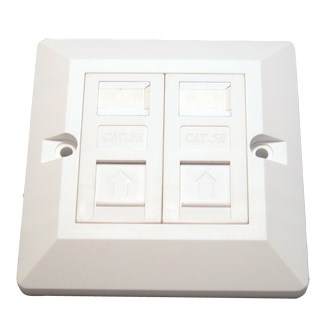 Network Point Faceplate - Dual Port