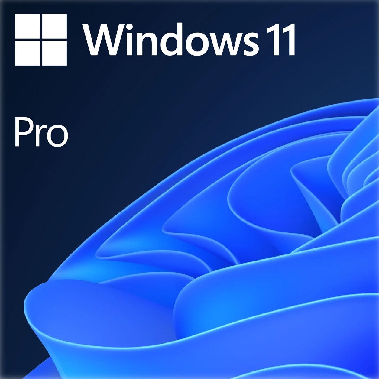 windows 11 professional 64 bit