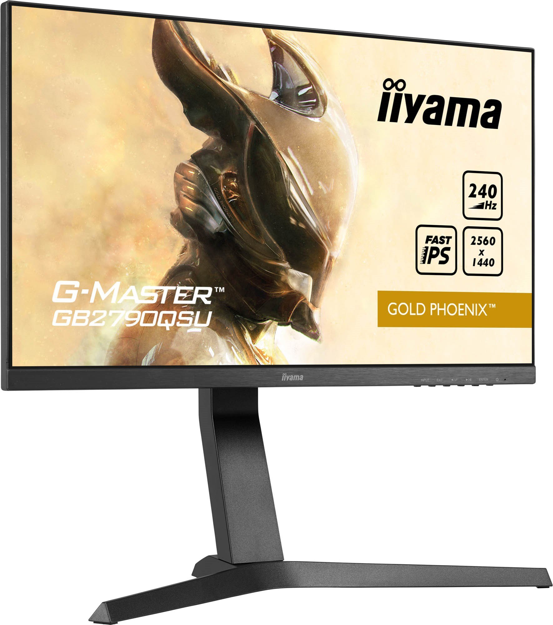 monitor 240 hz ips