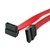 StarTech.com 30cm SATA Cable