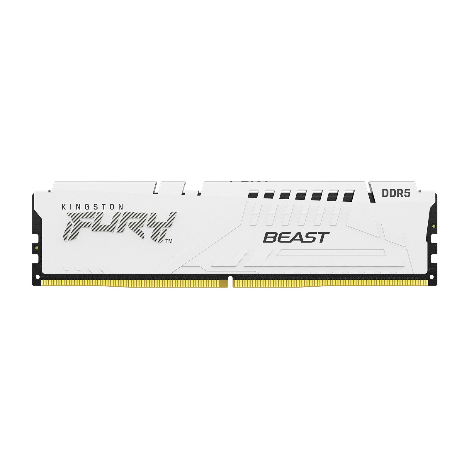 Kingston FURY Beast 16GB (1x16GB) 6000MT/s DDR5 Memory